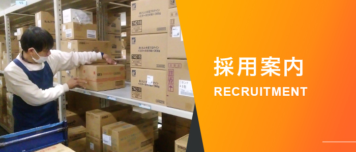 採用案内